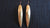 Long Skinny Leaf Earrings